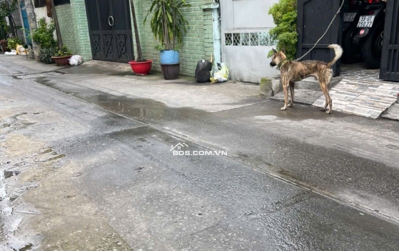 Bán nhà 1 trệt+ 2 lầu, thiết kế hiện đại, vị trí vàng ngay trung tâm thành phố HCM , Quận 10